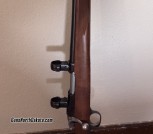 Ruger 77/22 Hornet